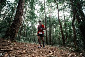 BIB: 
                            <button type="button" onclick="openModal(25261382)" class="btn btn-primary btn-sm float-right btn-popup" data-toggle="modal" data-target=".modal-high-quality">
                        <i class="fas fa-shopping-cart"></i> Add to Cart
                    </button>
                                            <button type="button" onclick="isThisMe(25261382, true)" class="btn btn-success btn-sm float-right btn-popup btn-isme hidden" data-toggle="tooltip" data-placement="bottom" title="นี่คือรูปของคุณใช่ไหม คลิกที่นี่เพื่อเอาเข้าอัลบั้ม">
                        <i class="fas fa-plus"></i> Add to album
                    </button>
                    <button type="button" onclick="isThisMe(25261382, false)" class="btn btn-warning btn-sm float-right btn-popup btn-isnotme hidden">
                        <i class="fas fa-ban"></i> Remove from album
                    </button>